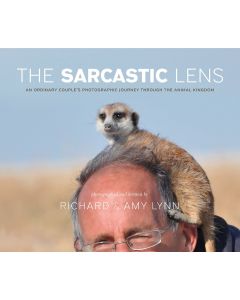 The Sarcastic Lens